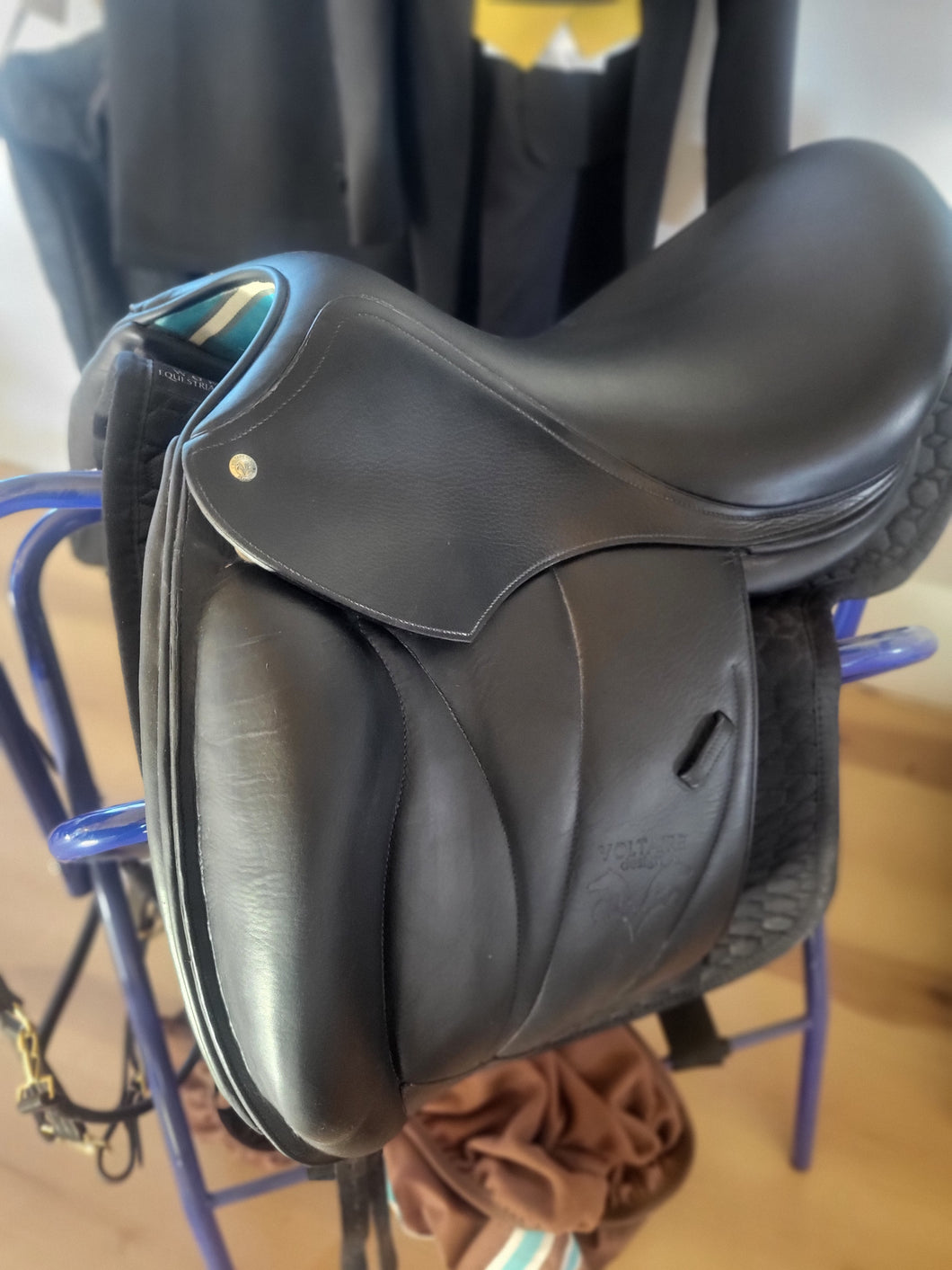 2018 Voltaire Adelaide Dressage