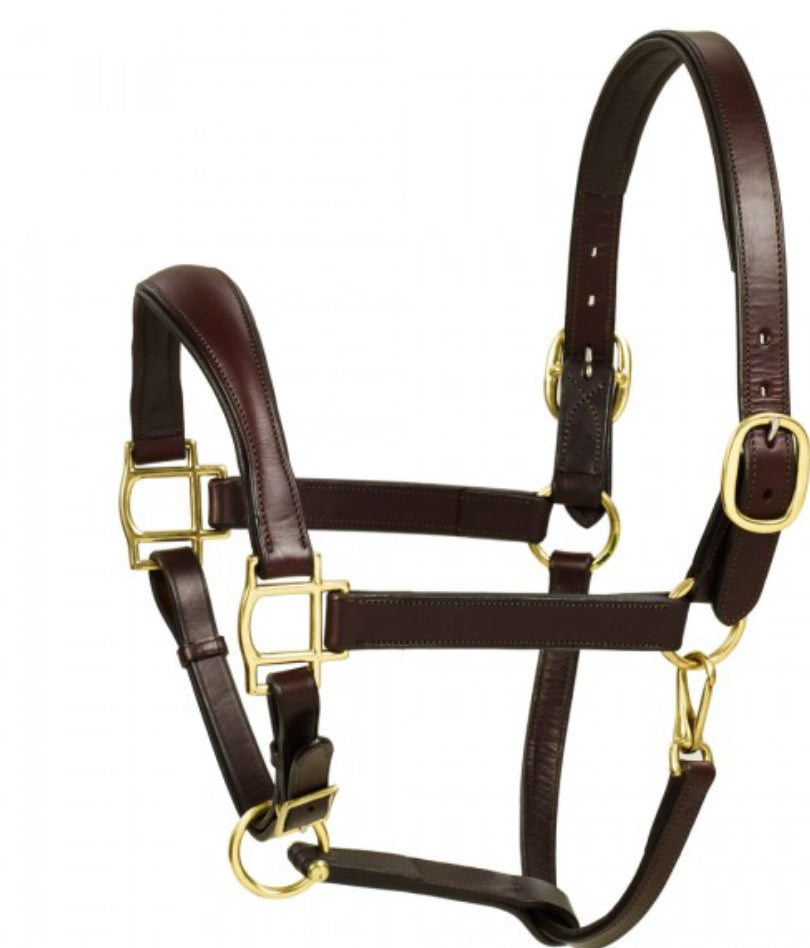 Aramas Fancy Square Raised Padded Halter